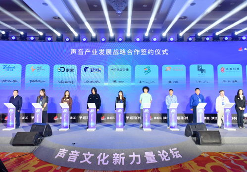 太醫(yī)溫實(shí)初現(xiàn)身杭州，數(shù)字內(nèi)容制作大咖齊聚，共探聲音藝術(shù)新篇章